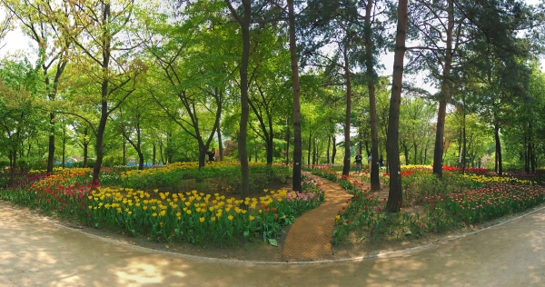 서울숲 튤립정원