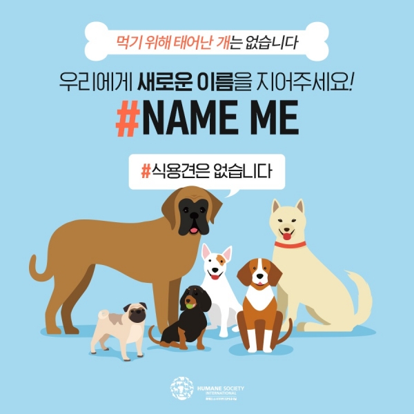 동물보호단체 휴메인 소사이어티 인터내셔널이 식용견에 새로운 이름 선물하는 #NameMe 캠페인을 진행한다