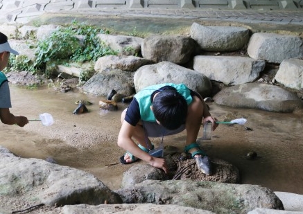 프로그램에 참여한 어린이이가 서울숲을 탐방하며 물 속 생물을 관찰하고 있다
