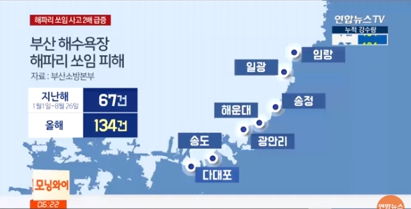 사진출처: 2018.08.29 연합뉴스TV 뉴스영상 캡처