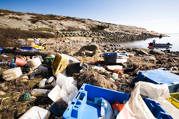 파도에 실려 떠내려 온 해양 플라스틱을 비롯한 해양 쓰레기들.