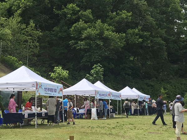 지난 6월 경기도 양주 국립아세안자연휴양림에서 열린 제1회 아세안 음식문화 페스티벌 행사 모습.