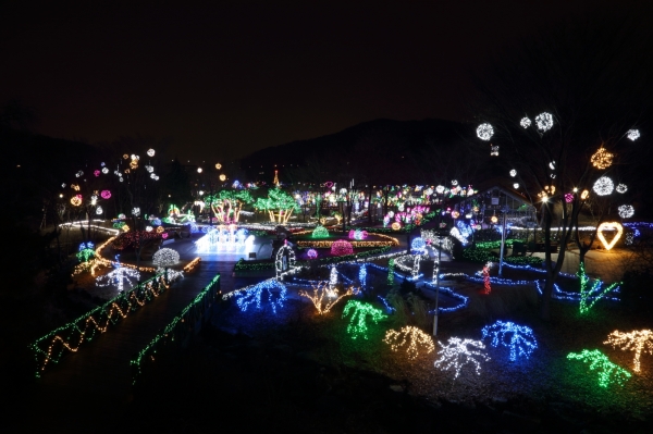 신구대학교식물원이 겨울 2019 꽃빛축제를 개최한다
