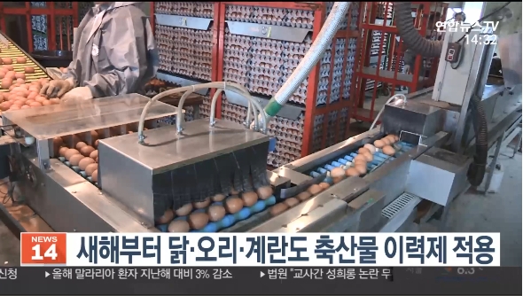 사진출처: 2019.12.25. 연합뉴스TV 뉴스영상 캡처