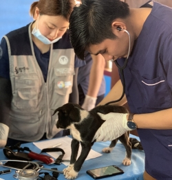 건국대 수의대 학생들이 라오스에서 동물의료 봉사활동을 진행했다