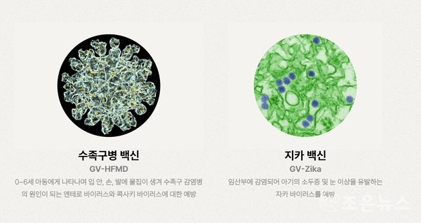 그린백스의 수족구병 백신과 지카 백신 플랫폼[그린백스 제공]