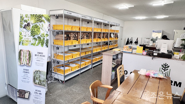 신선식품을 생산하는 자연향 '제로그린팜' 로컬지점[조은뉴스 촬영]  