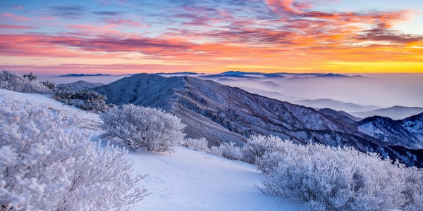 영주 소백산[경북문화관광공사 제공]