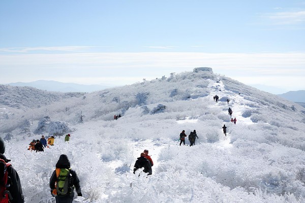 경북문화관광공사제공=봉화 태백산