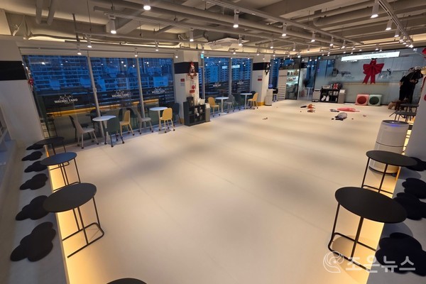 부산 연제구에 위치한 100평 규모의 왈왈랜드[왈왈랜드 제공]