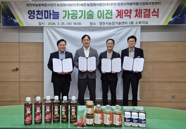 영천마늘 가공기술 이전 계약 체결식 모습(좌측부터 김정욱 센터장, 최진욱 대표, 오세창 대표, 최재열 단장)[영천시 제공]
