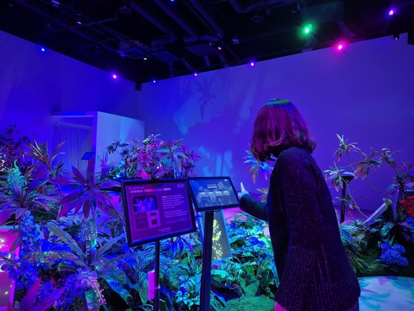 경주시 제공= 관람객이 라원 디지털 정원에서 미디어 콘텐츠를 체험하고 있다.