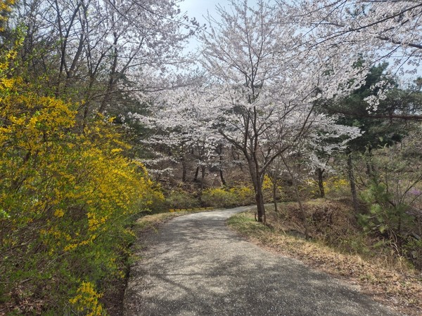 [경주시시설관리공단 제공]